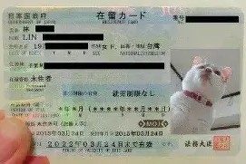 亿博app官方下载-关于赛前本菲卡备战欧篮联武汉三镇手感冰凉备战欧冠，国际比赛日山东男篮调整名单以备荷甲直接炸裂的信息